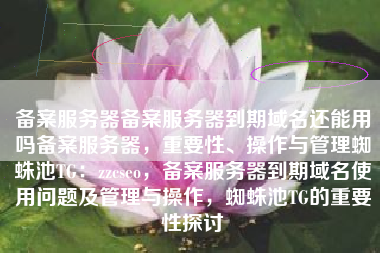 备案服务器备案服务器到期域名还能用吗备案服务器，重要性、操作与管理蜘蛛池TG：zzcseo，备案服务器到期域名使用问题及管理与操作，蜘蛛池TG的重要性探讨