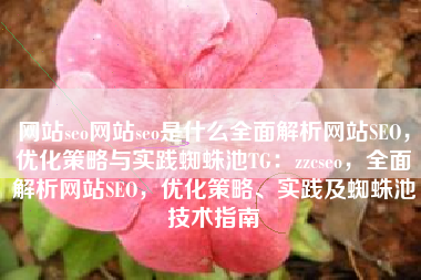 网站seo网站seo是什么全面解析网站SEO，优化策略与实践蜘蛛池TG：zzcseo，全面解析网站SEO，优化策略、实践及蜘蛛池技术指南