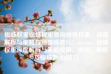 蜘蛛权重蜘蛛权重查询蜘蛛权重，深度解析与策略应用蜘蛛池TG：zzcseo，蜘蛛权重深度解析与策略应用，查询、解析及蜘蛛池SEO技巧