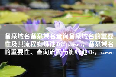 备案域名备案域名查询备案域名的重要性及其流程蜘蛛池TG：zzcseo，备案域名的重要性、查询流程与蜘蛛池TG，zzcseo