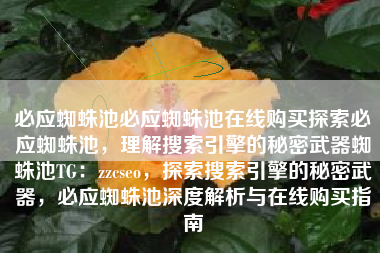 必应蜘蛛池必应蜘蛛池在线购买探索必应蜘蛛池，理解搜索引擎的秘密武器蜘蛛池TG：zzcseo，探索搜索引擎的秘密武器，必应蜘蛛池深度解析与在线购买指南