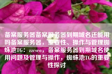 备案服务器备案服务器到期域名还能用吗备案服务器，重要性、操作与管理蜘蛛池TG：zzcseo，备案服务器到期域名使用问题及管理与操作，蜘蛛池TG的重要性探讨