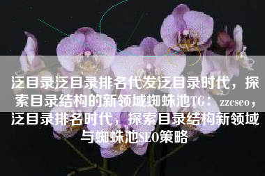 泛目录泛目录排名代发泛目录时代，探索目录结构的新领域蜘蛛池TG：zzcseo，泛目录排名时代，探索目录结构新领域与蜘蛛池SEO策略