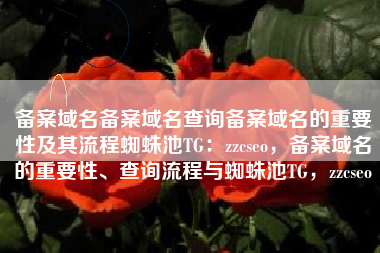备案域名备案域名查询备案域名的重要性及其流程蜘蛛池TG：zzcseo，备案域名的重要性、查询流程与蜘蛛池TG，zzcseo