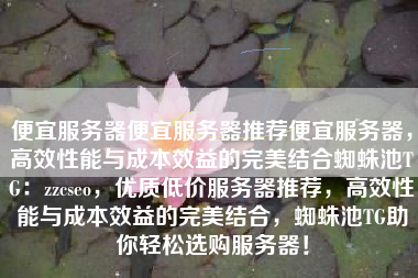 便宜服务器便宜服务器推荐便宜服务器，高效性能与成本效益的完美结合蜘蛛池TG：zzcseo，优质低价服务器推荐，高效性能与成本效益的完美结合，蜘蛛池TG助你轻松选购服务器！