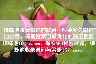蜘蛛池收录蜘蛛池收录一般要多久蜘蛛池收录，探索搜索引擎优化的秘密武器蜘蛛池TG：zzcseo，探索SEO秘密武器，蜘蛛池收录时间与策略TG，zzcseo