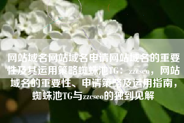 网站域名网站域名申请网站域名的重要性及其运用策略蜘蛛池TG：zzcseo，网站域名的重要性、申请策略及运用指南，蜘蛛池TG与zzcseo的独到见解