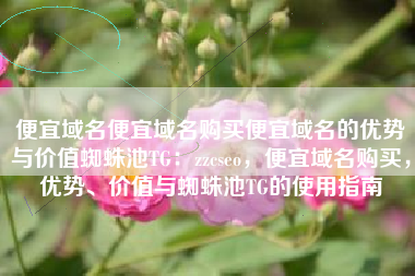 便宜域名便宜域名购买便宜域名的优势与价值蜘蛛池TG：zzcseo，便宜域名购买，优势、价值与蜘蛛池TG的使用指南