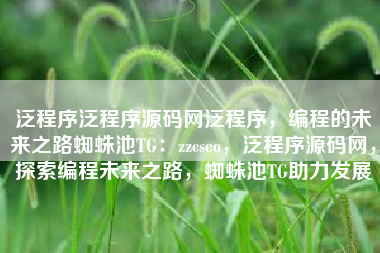 泛程序泛程序源码网泛程序，编程的未来之路蜘蛛池TG：zzcseo，泛程序源码网，探索编程未来之路，蜘蛛池TG助力发展