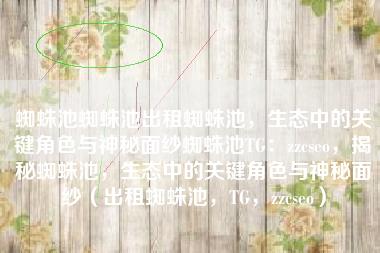 蜘蛛池蜘蛛池出租蜘蛛池，生态中的关键角色与神秘面纱蜘蛛池TG：zzcseo，揭秘蜘蛛池，生态中的关键角色与神秘面纱（出租蜘蛛池，TG，zzcseo）