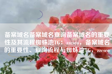 备案域名备案域名查询备案域名的重要性及其流程蜘蛛池TG：zzcseo，备案域名的重要性、查询流程与蜘蛛池TG，zzcseo