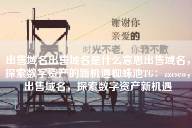 出售域名出售域名是什么意思出售域名，探索数字资产的新机遇蜘蛛池TG：zzcseo，出售域名，探索数字资产新机遇