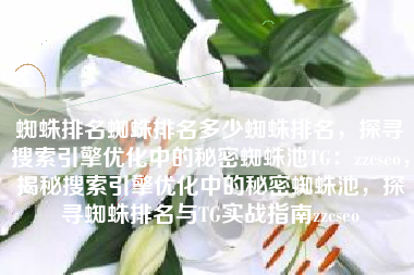 蜘蛛排名蜘蛛排名多少蜘蛛排名，探寻搜索引擎优化中的秘密蜘蛛池TG：zzcseo，揭秘搜索引擎优化中的秘密蜘蛛池，探寻蜘蛛排名与TG实战指南zzcseo