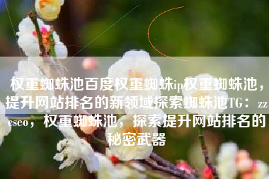 权重蜘蛛池百度权重蜘蛛ip权重蜘蛛池，提升网站排名的新领域探索蜘蛛池TG：zzcseo，权重蜘蛛池，探索提升网站排名的秘密武器