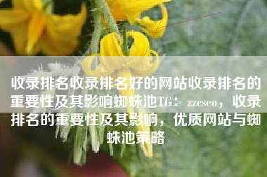 收录排名收录排名好的网站收录排名的重要性及其影响蜘蛛池TG：zzcseo，收录排名的重要性及其影响，优质网站与蜘蛛池策略