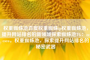 权重蜘蛛池百度权重蜘蛛ip权重蜘蛛池，提升网站排名的新领域探索蜘蛛池TG：zzcseo，权重蜘蛛池，探索提升网站排名的秘密武器