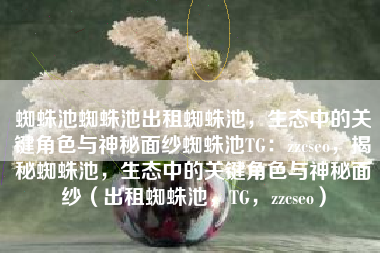 蜘蛛池蜘蛛池出租蜘蛛池，生态中的关键角色与神秘面纱蜘蛛池TG：zzcseo，揭秘蜘蛛池，生态中的关键角色与神秘面纱（出租蜘蛛池，TG，zzcseo）