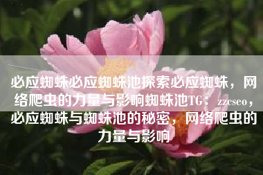 必应蜘蛛必应蜘蛛池探索必应蜘蛛，网络爬虫的力量与影响蜘蛛池TG：zzcseo，必应蜘蛛与蜘蛛池的秘密，网络爬虫的力量与影响