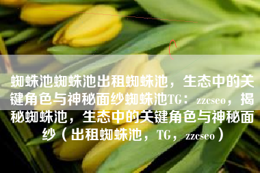 蜘蛛池蜘蛛池出租蜘蛛池，生态中的关键角色与神秘面纱蜘蛛池TG：zzcseo，揭秘蜘蛛池，生态中的关键角色与神秘面纱（出租蜘蛛池，TG，zzcseo）