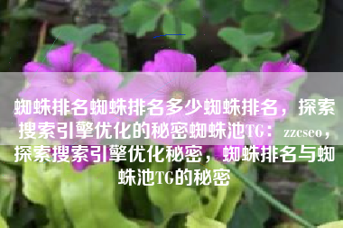 蜘蛛排名蜘蛛排名多少蜘蛛排名，探索搜索引擎优化的秘密蜘蛛池TG：zzcseo，探索搜索引擎优化秘密，蜘蛛排名与蜘蛛池TG的秘密
