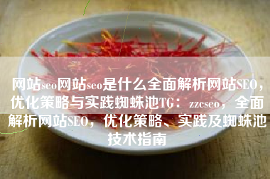 网站seo网站seo是什么全面解析网站SEO，优化策略与实践蜘蛛池TG：zzcseo，全面解析网站SEO，优化策略、实践及蜘蛛池技术指南