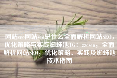 网站seo网站seo是什么全面解析网站SEO，优化策略与实践蜘蛛池TG：zzcseo，全面解析网站SEO，优化策略、实践及蜘蛛池技术指南