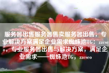 服务器出售服务器售卖服务器出售，专业解决方案满足企业需求蜘蛛池TG：zzcseo，专业服务器出售与解决方案，满足企业需求——蜘蛛池TG，zzcseo