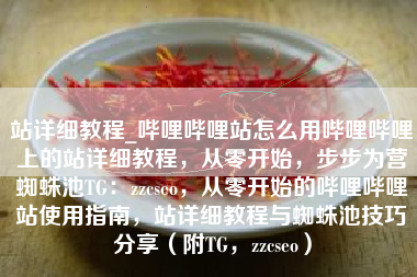 站详细教程_哔哩哔哩站怎么用哔哩哔哩上的站详细教程，从零开始，步步为营蜘蛛池TG：zzcseo，从零开始的哔哩哔哩站使用指南，站详细教程与蜘蛛池技巧分享（附TG，zzcseo）