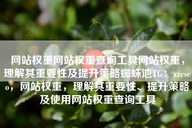 网站权重网站权重查询工具网站权重，理解其重要性及提升策略蜘蛛池TG：zzcseo，网站权重，理解其重要性、提升策略及使用网站权重查询工具