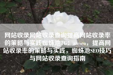 网站收录网站收录查询提高网站收录率的策略与实践蜘蛛池TG：zzcseo，提高网站收录率的策略与实践，蜘蛛池SEO技巧与网站收录查询指南