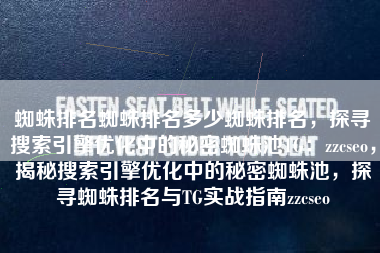 蜘蛛排名蜘蛛排名多少蜘蛛排名，探寻搜索引擎优化中的秘密蜘蛛池TG：zzcseo，揭秘搜索引擎优化中的秘密蜘蛛池，探寻蜘蛛排名与TG实战指南zzcseo