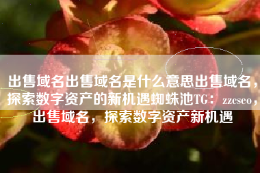 出售域名出售域名是什么意思出售域名，探索数字资产的新机遇蜘蛛池TG：zzcseo，出售域名，探索数字资产新机遇