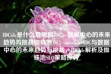 IDCidc是什么意思啊IDC，数据中心的未来趋势与挑战蜘蛛池TG：zzcseo，IDC与数据中心的未来趋势与挑战，IDCidc解析及蜘蛛池SEO策略探讨