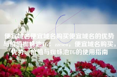 便宜域名便宜域名购买便宜域名的优势与价值蜘蛛池TG：zzcseo，便宜域名购买，优势、价值与蜘蛛池TG的使用指南
