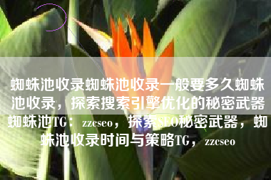 蜘蛛池收录蜘蛛池收录一般要多久蜘蛛池收录，探索搜索引擎优化的秘密武器蜘蛛池TG：zzcseo，探索SEO秘密武器，蜘蛛池收录时间与策略TG，zzcseo