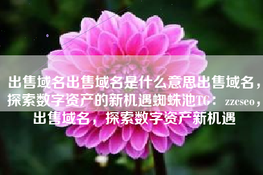 出售域名出售域名是什么意思出售域名，探索数字资产的新机遇蜘蛛池TG：zzcseo，出售域名，探索数字资产新机遇