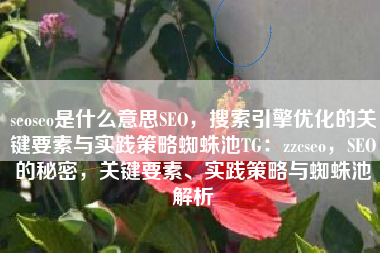 seoseo是什么意思SEO，搜索引擎优化的关键要素与实践策略蜘蛛池TG：zzcseo，SEO的秘密，关键要素、实践策略与蜘蛛池解析