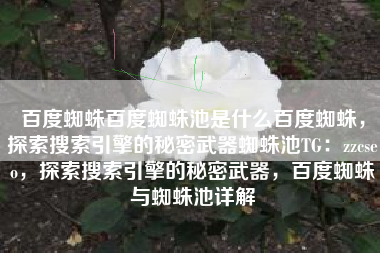 百度蜘蛛百度蜘蛛池是什么百度蜘蛛，探索搜索引擎的秘密武器蜘蛛池TG：zzcseo，探索搜索引擎的秘密武器，百度蜘蛛与蜘蛛池详解