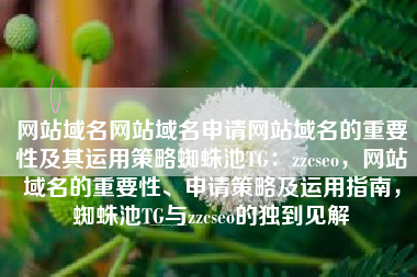 网站域名网站域名申请网站域名的重要性及其运用策略蜘蛛池TG：zzcseo，网站域名的重要性、申请策略及运用指南，蜘蛛池TG与zzcseo的独到见解