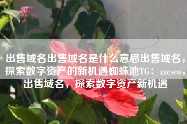 出售域名出售域名是什么意思出售域名，探索数字资产的新机遇蜘蛛池TG：zzcseo，出售域名，探索数字资产新机遇