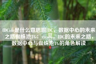 IDCidc是什么意思啊IDC，数据中心的未来之路蜘蛛池TG：zzcseo，IDC的未来之路，数据中心与蜘蛛池TG的角色解读