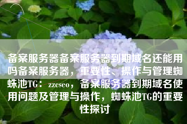 备案服务器备案服务器到期域名还能用吗备案服务器，重要性、操作与管理蜘蛛池TG：zzcseo，备案服务器到期域名使用问题及管理与操作，蜘蛛池TG的重要性探讨