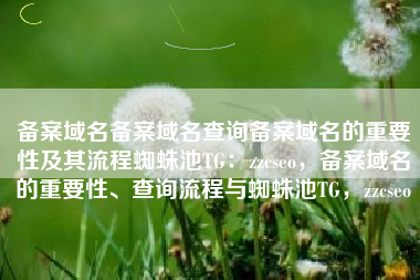 备案域名备案域名查询备案域名的重要性及其流程蜘蛛池TG：zzcseo，备案域名的重要性、查询流程与蜘蛛池TG，zzcseo