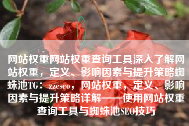 网站权重网站权重查询工具深入了解网站权重，定义、影响因素与提升策略蜘蛛池TG：zzcseo，网站权重，定义、影响因素与提升策略详解——使用网站权重查询工具与蜘蛛池SEO技巧