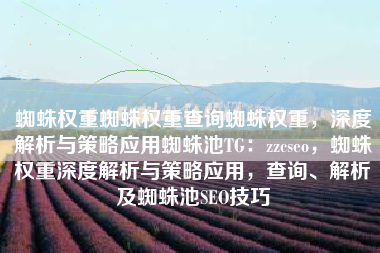 蜘蛛权重蜘蛛权重查询蜘蛛权重，深度解析与策略应用蜘蛛池TG：zzcseo，蜘蛛权重深度解析与策略应用，查询、解析及蜘蛛池SEO技巧
