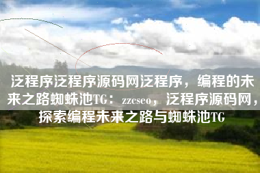 泛程序泛程序源码网泛程序，编程的未来之路蜘蛛池TG：zzcseo，泛程序源码网，探索编程未来之路与蜘蛛池TG