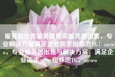 服务器出售服务器售卖服务器出售，专业解决方案满足企业需求蜘蛛池TG：zzcseo，专业服务器出售与解决方案，满足企业需求——蜘蛛池TG，zzcseo