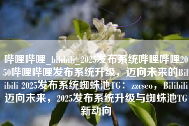 哔哩哔哩_bilibili_2025发布系统哔哩哔哩2050哔哩哔哩发布系统升级，迈向未来的Bilibili 2025发布系统蜘蛛池TG：zzcseo，Bilibili迈向未来，2025发布系统升级与蜘蛛池TG新动向