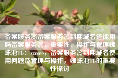 备案服务器备案服务器到期域名还能用吗备案服务器，重要性、操作与管理蜘蛛池TG：zzcseo，备案服务器到期域名使用问题及管理与操作，蜘蛛池TG的重要性探讨