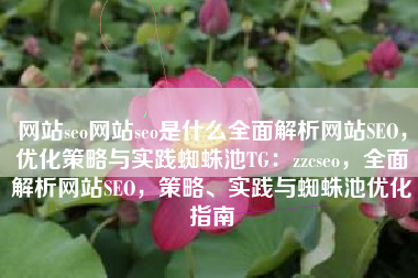 网站seo网站seo是什么全面解析网站SEO，优化策略与实践蜘蛛池TG：zzcseo，全面解析网站SEO，策略、实践与蜘蛛池优化指南